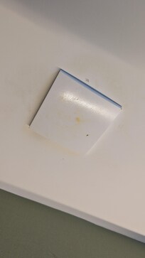 Stains on the cellar