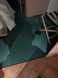 Staff on floor