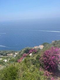 View from terrace