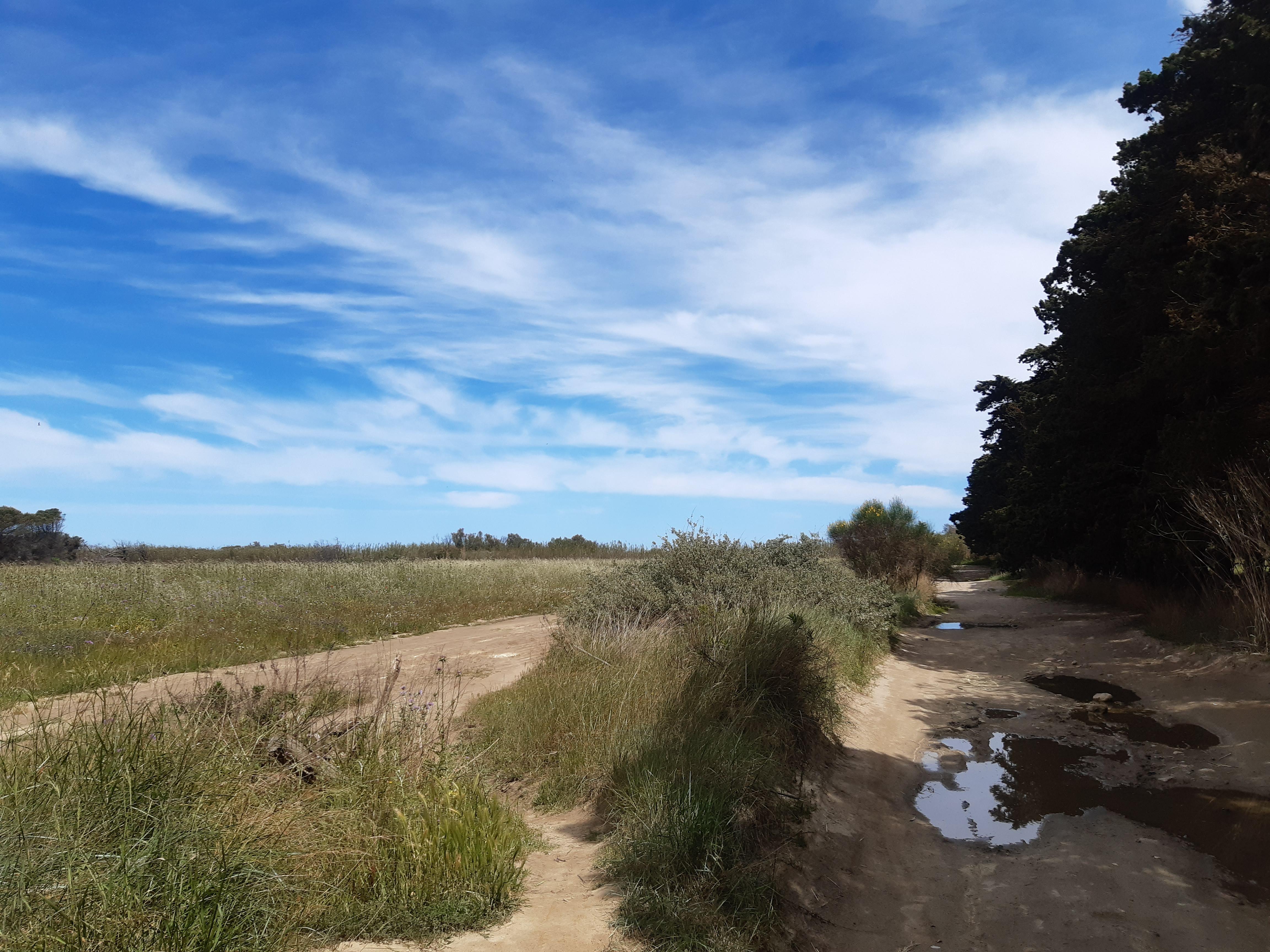 Chemin vers la plage