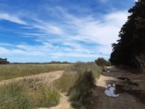 Chemin vers la plage