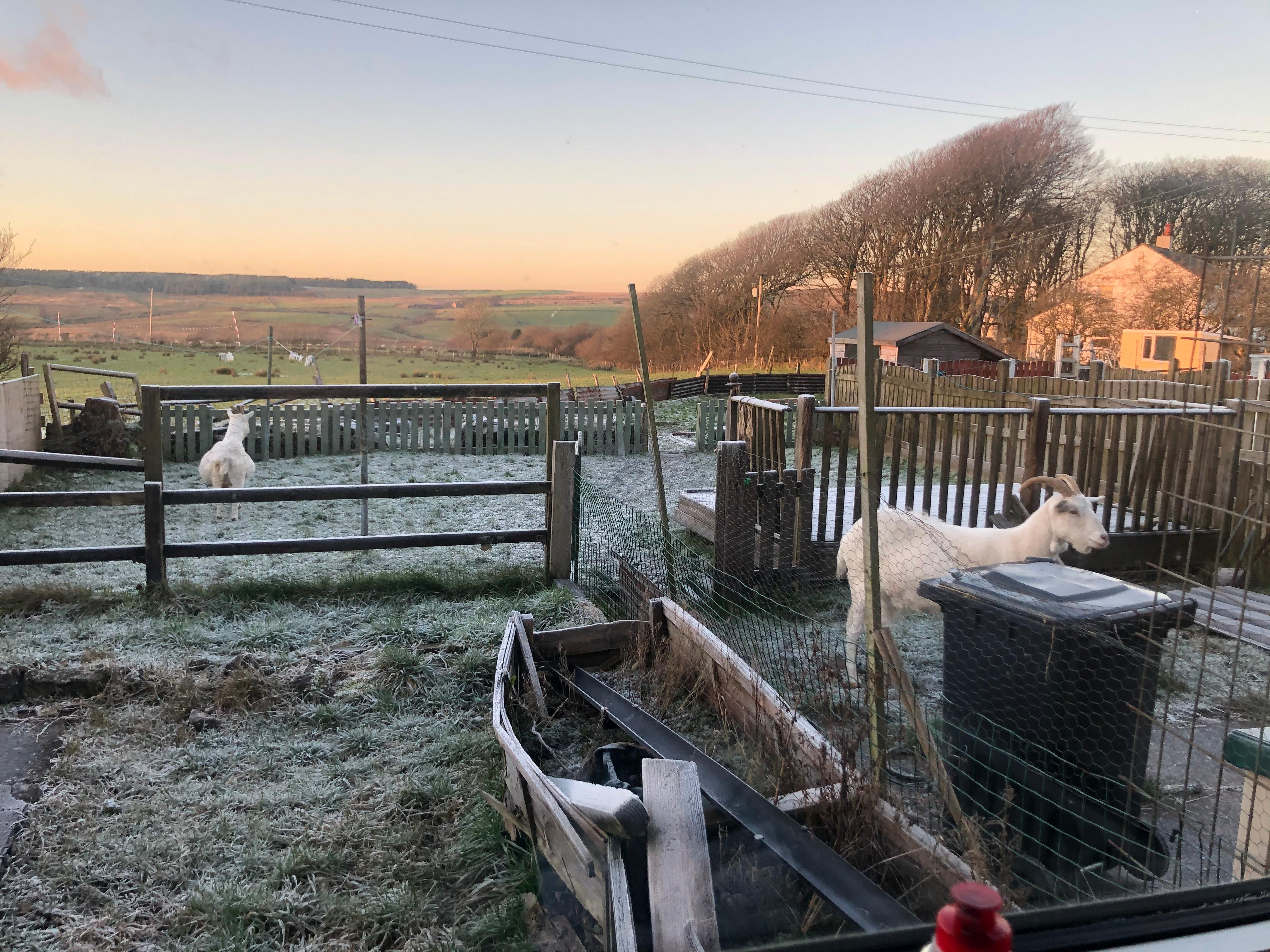 View from back of the cottage 