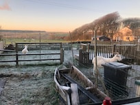View from back of the cottage