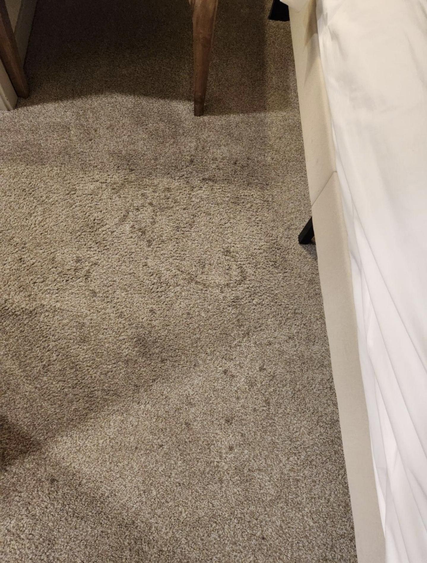 Carpet in bedroom on the other side of the bed.