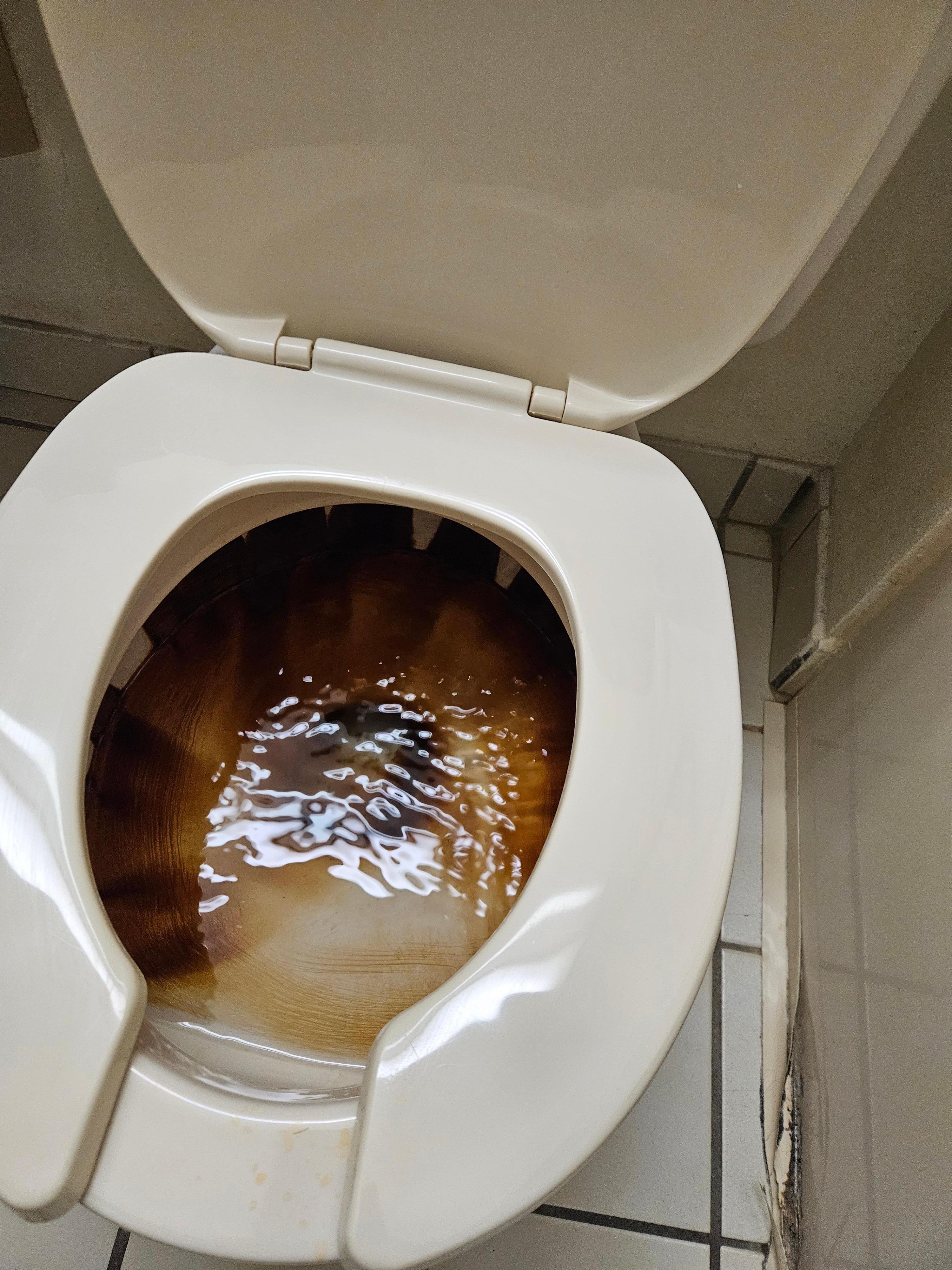 Clean toilet?