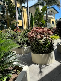 The Cove - gardens