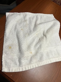 This was the “clean” washcloth