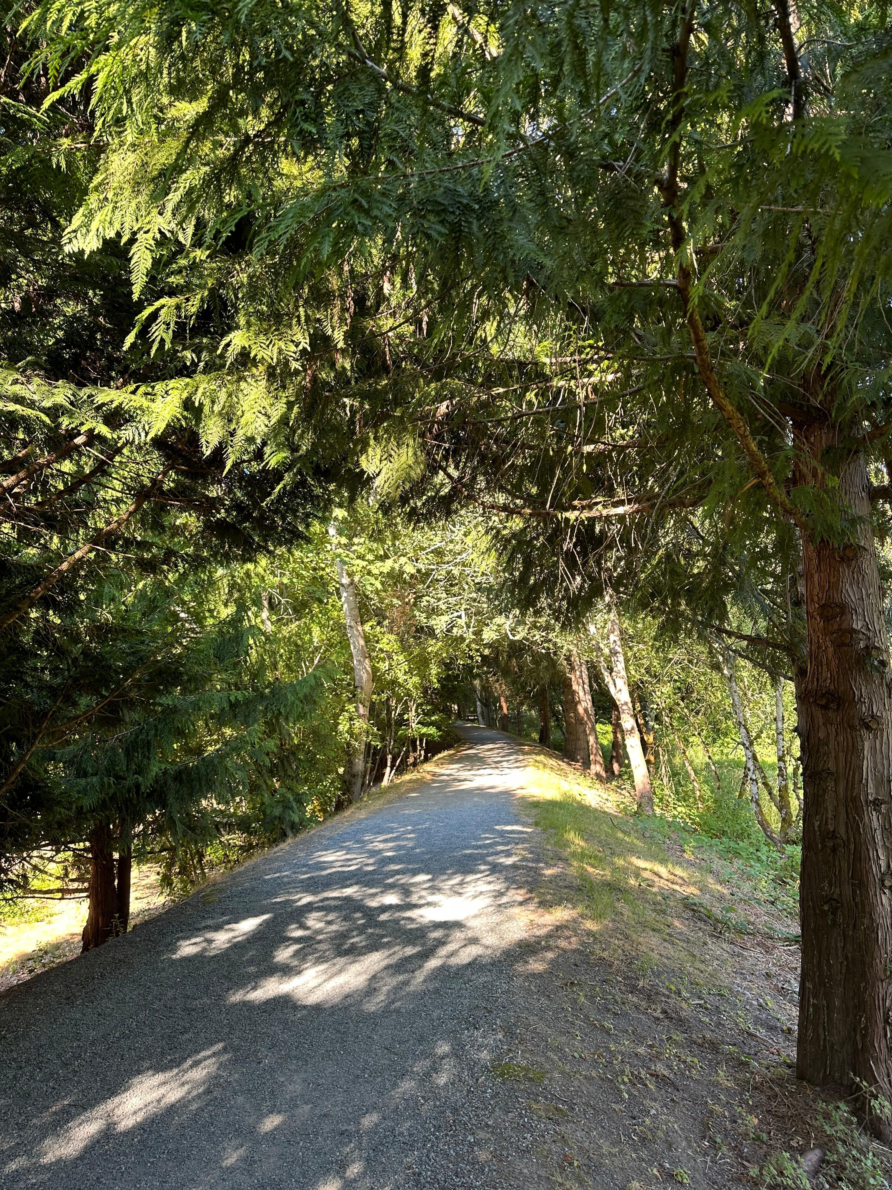 호텔주변 오솔길