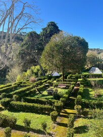The garden