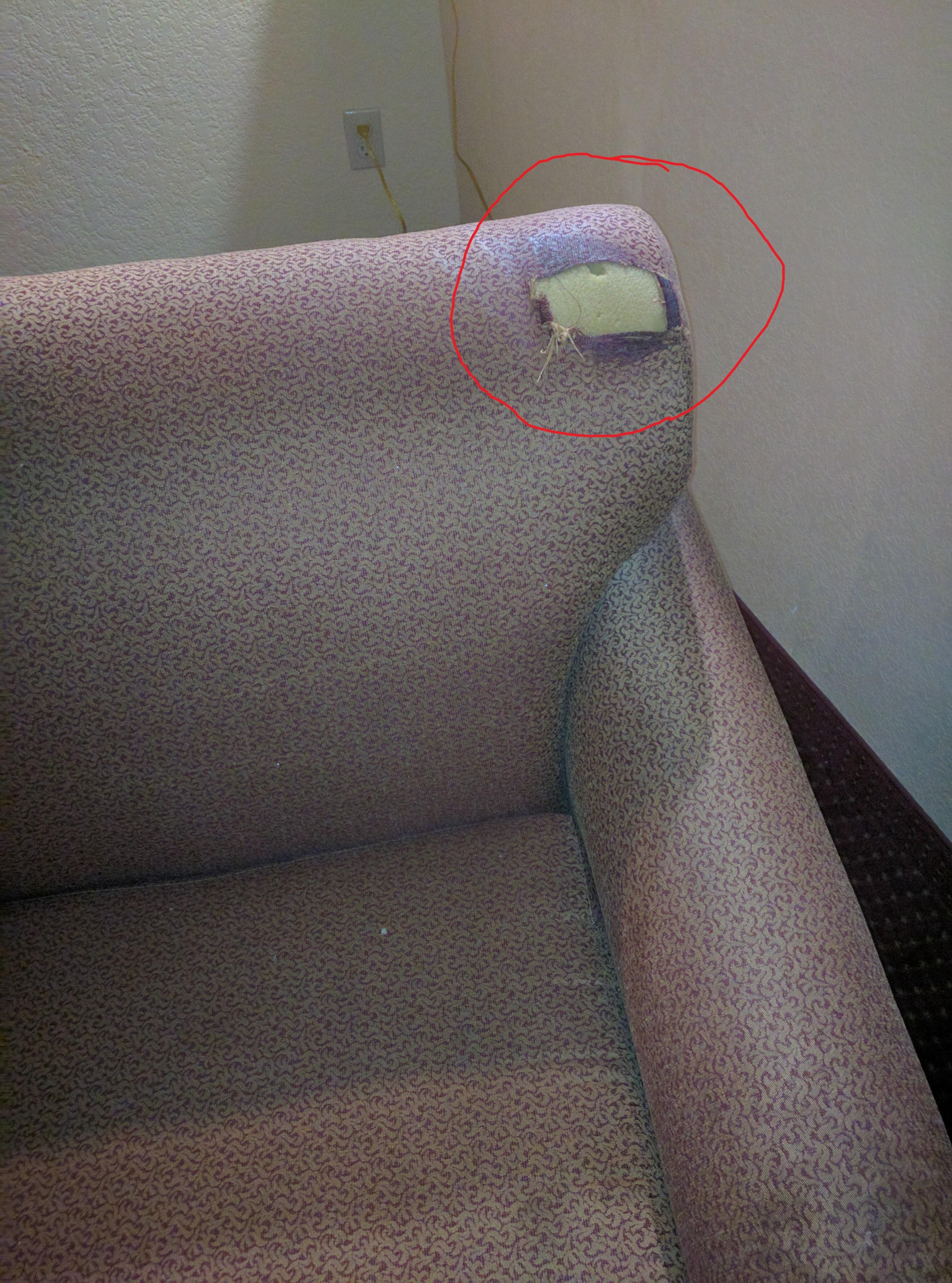 Torn Sofa