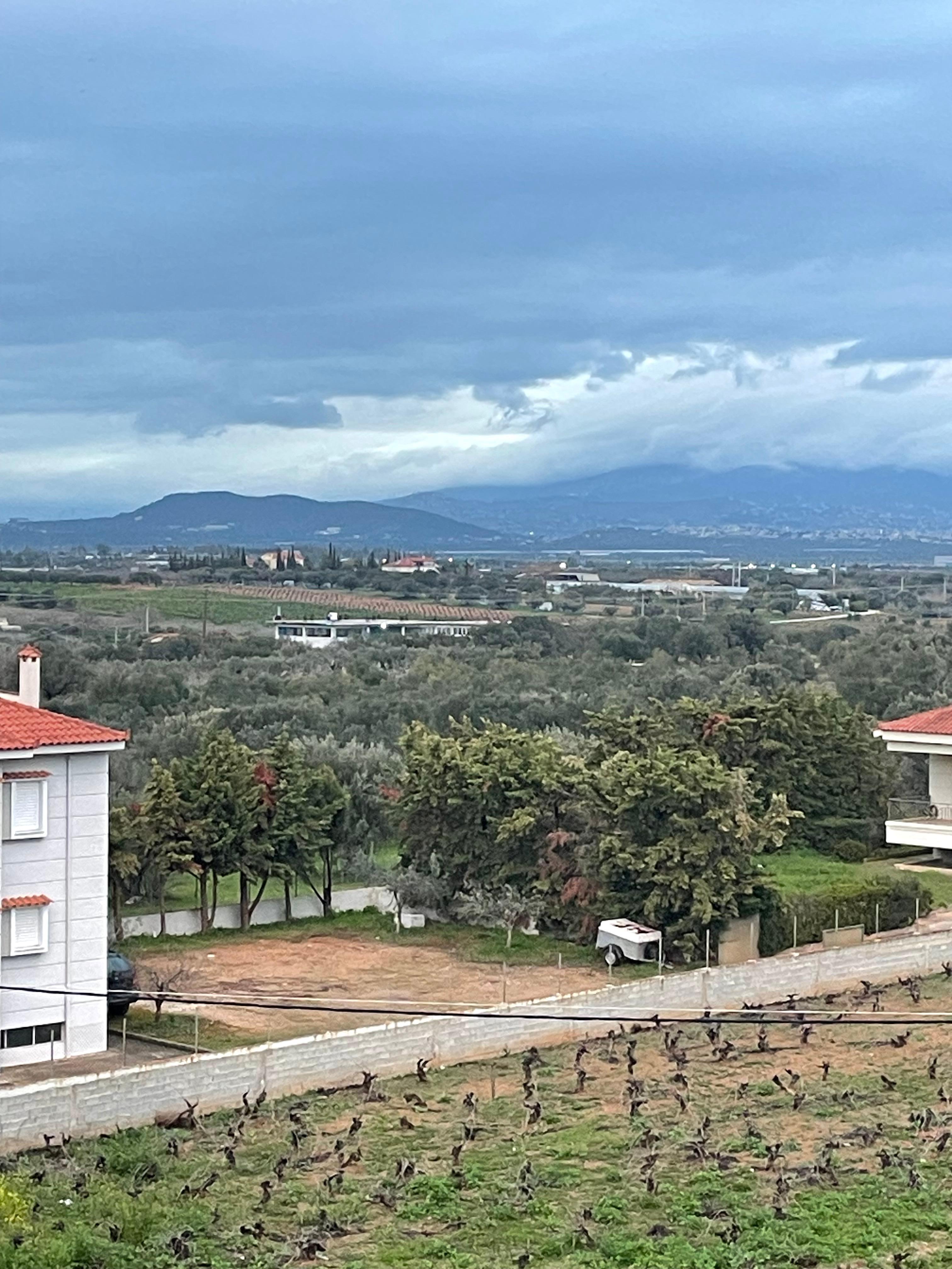 View from the balcony 