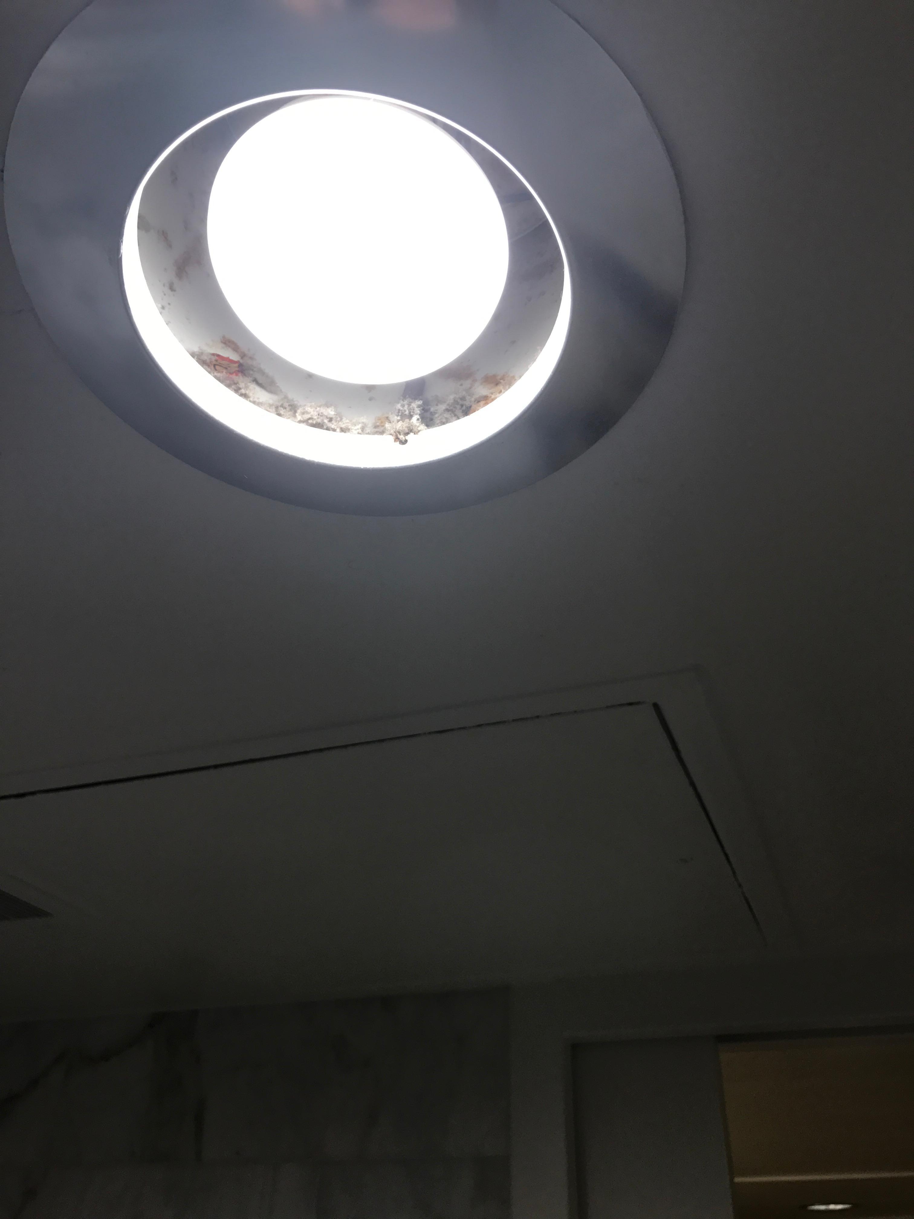 Lent buildup in bathroom light fixture