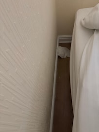 Used toilet paper found on the floor upon checked in.