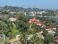 View from the Lake view room