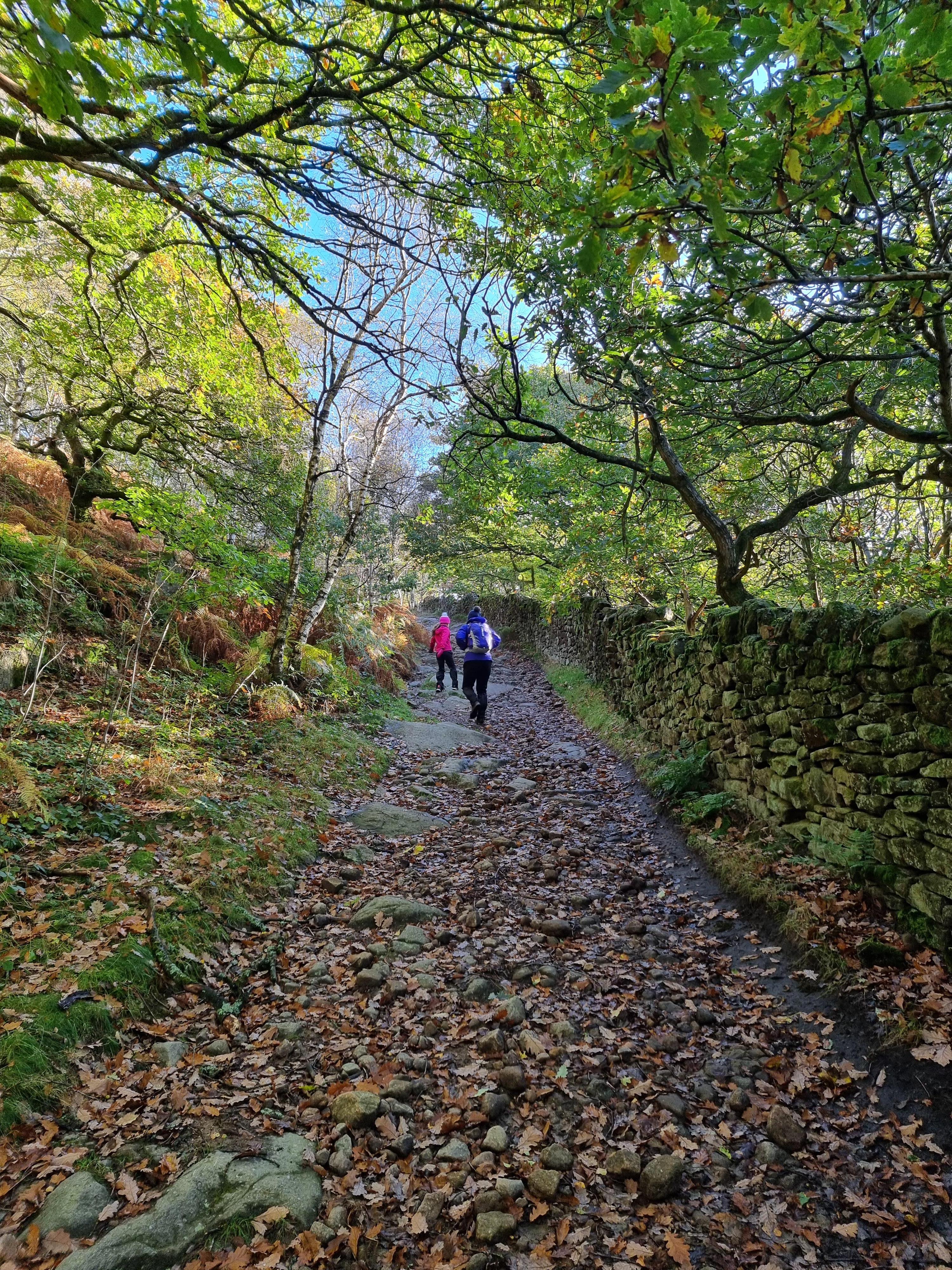 The bridleway from the hotel lay-by.