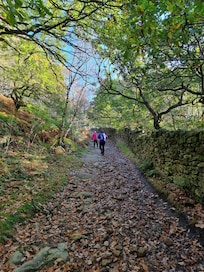 The bridleway from the hotel lay-by.