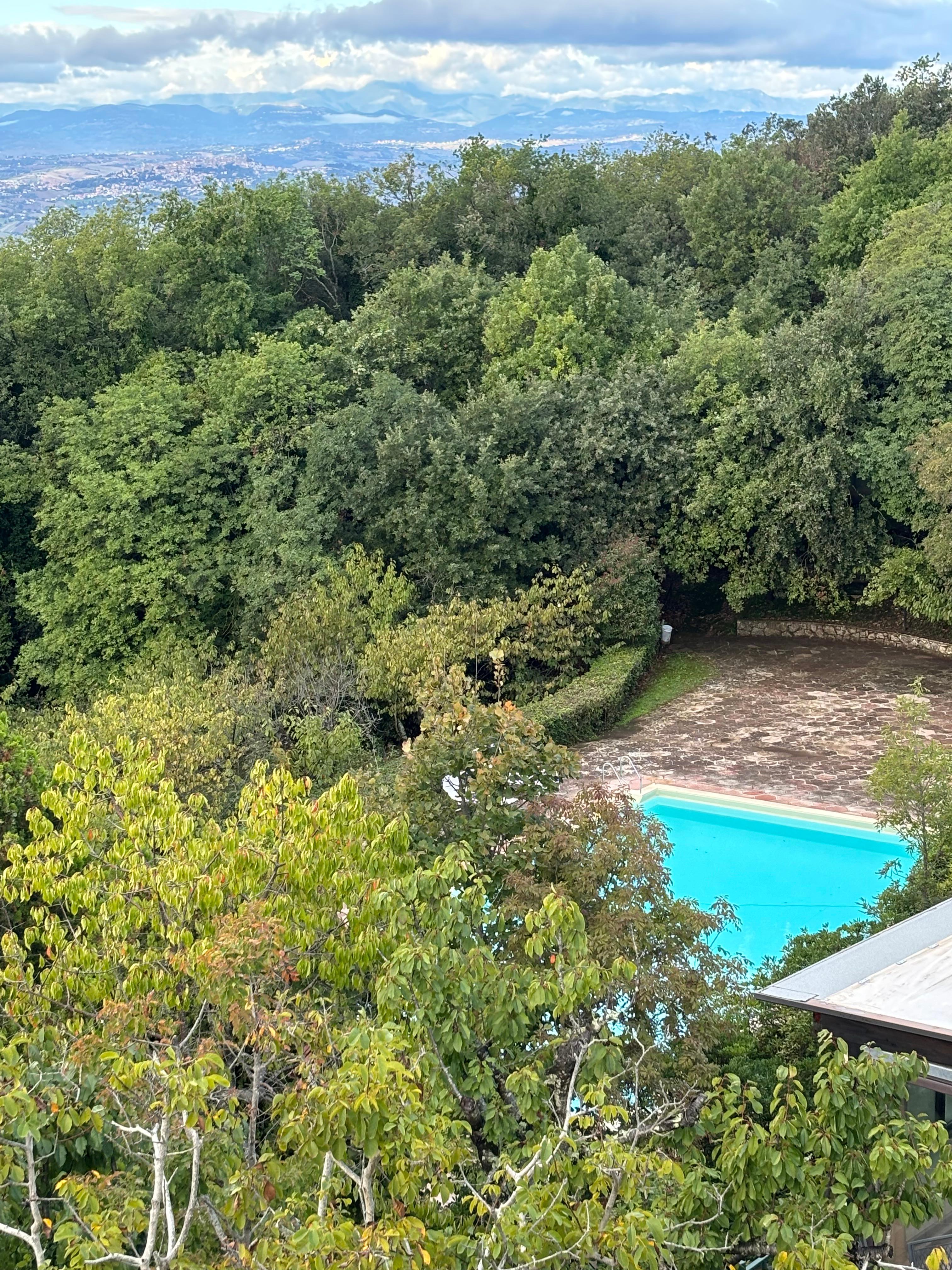 A view of the pool from the bar balcony