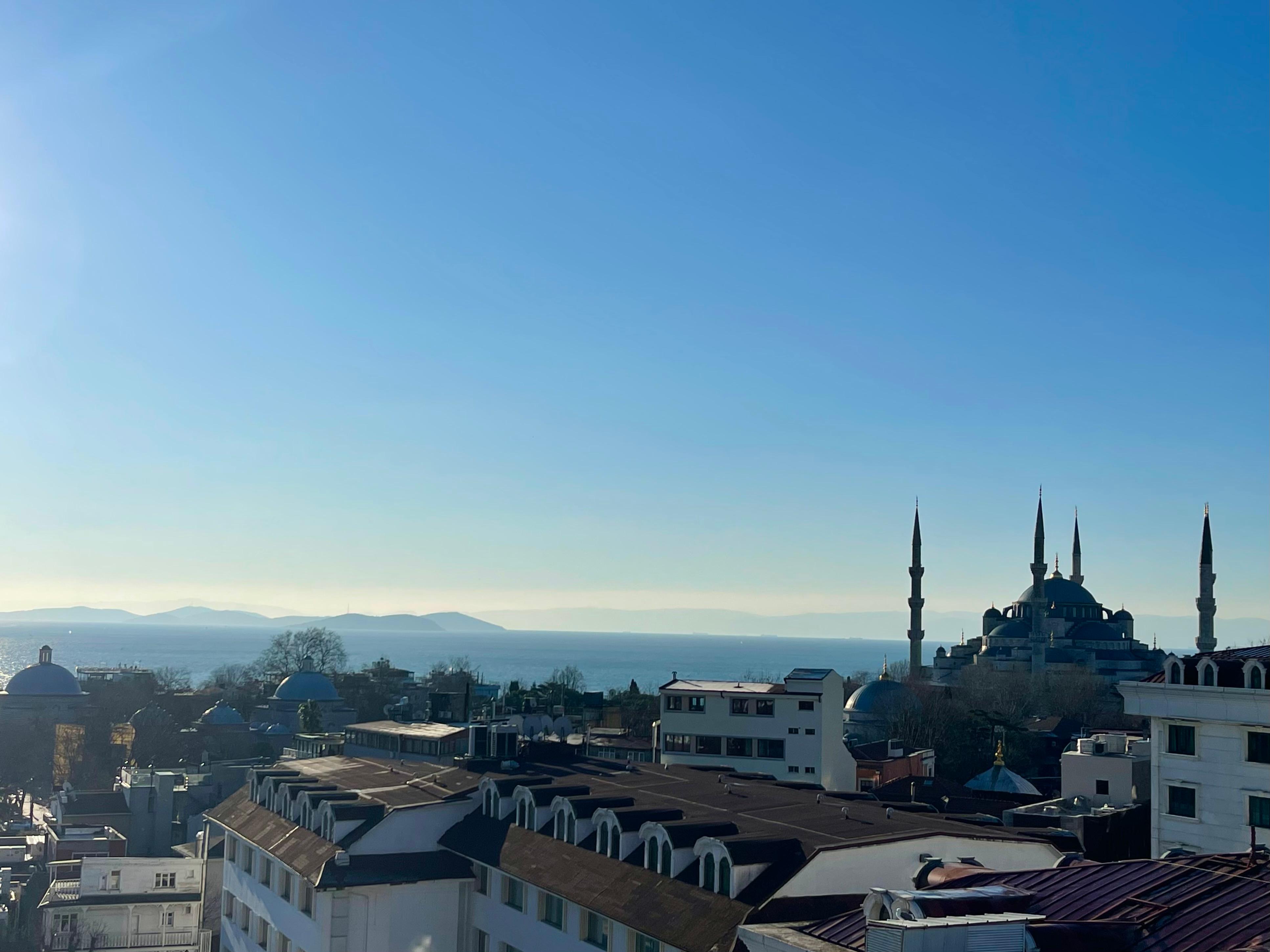 View from the terrace 2