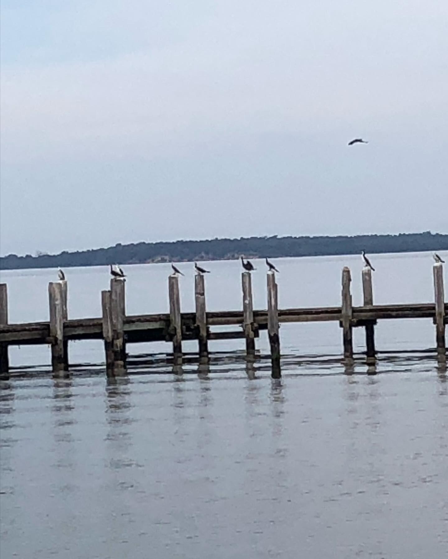 The serene Raymond island