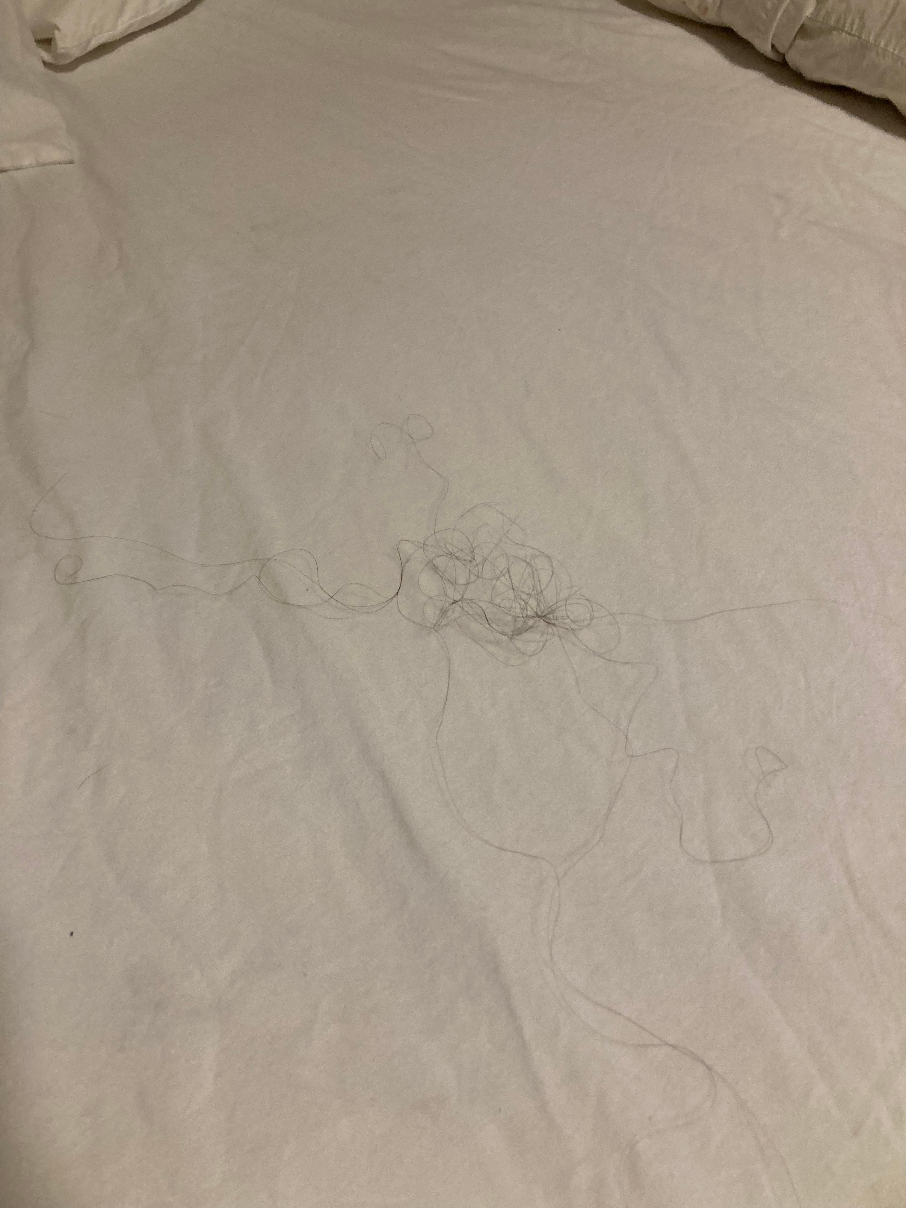 Peel the sheets back to find this?we both have short hair 🤮