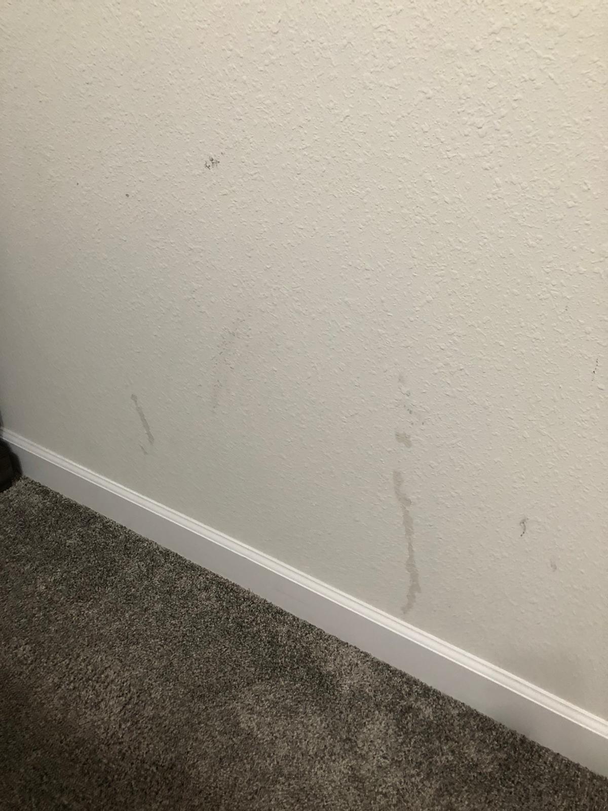 stains all over the walls