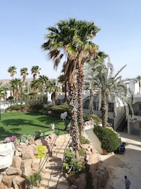 The area was so beautiful to look at. Garden, in full bloom and taken care of.