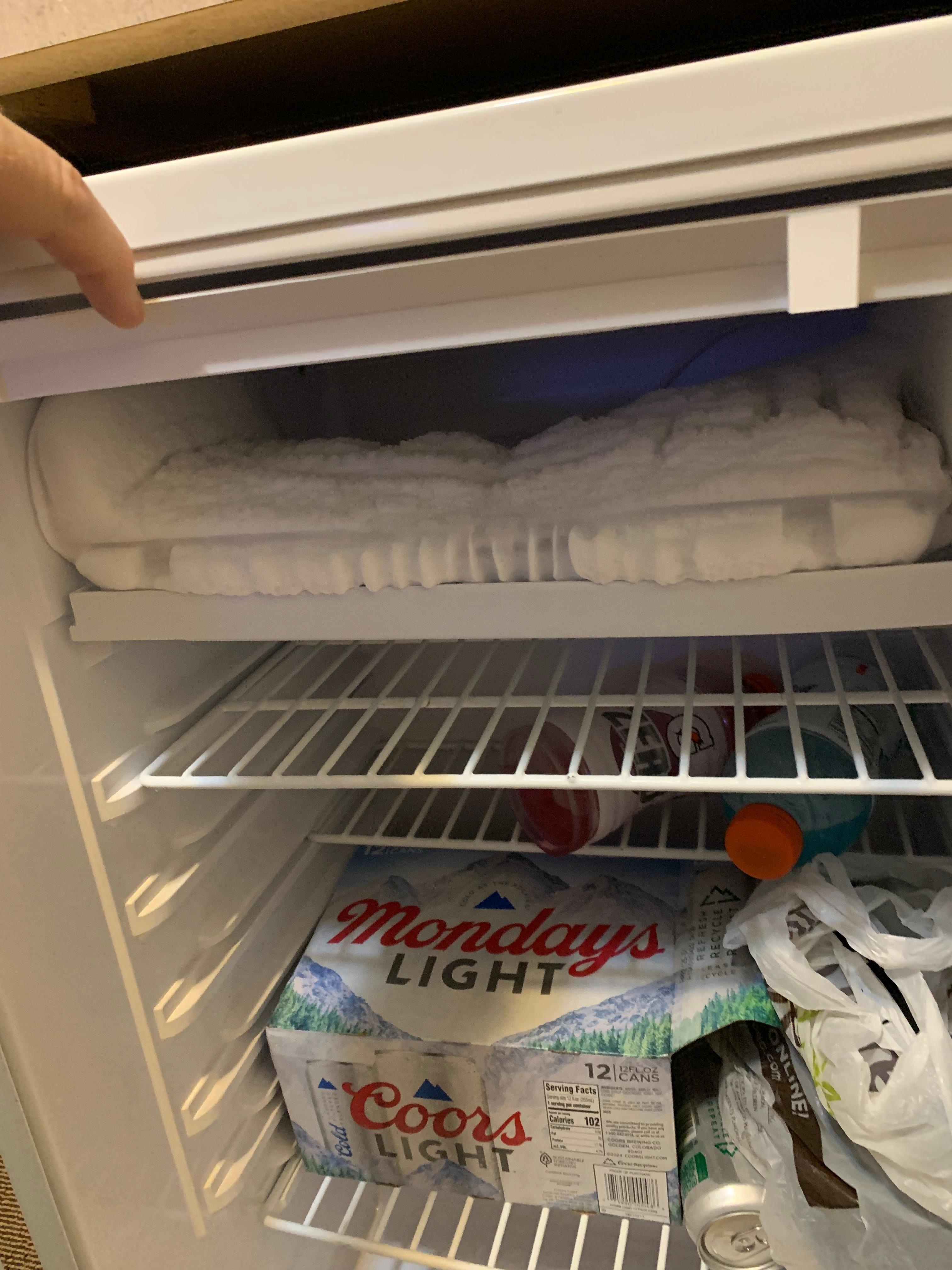 Dirty fridge and needs cleaned and defrosted and smelled