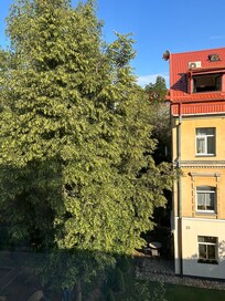 Peaceful Neighbourhood outside of room on 2nd floor with some green