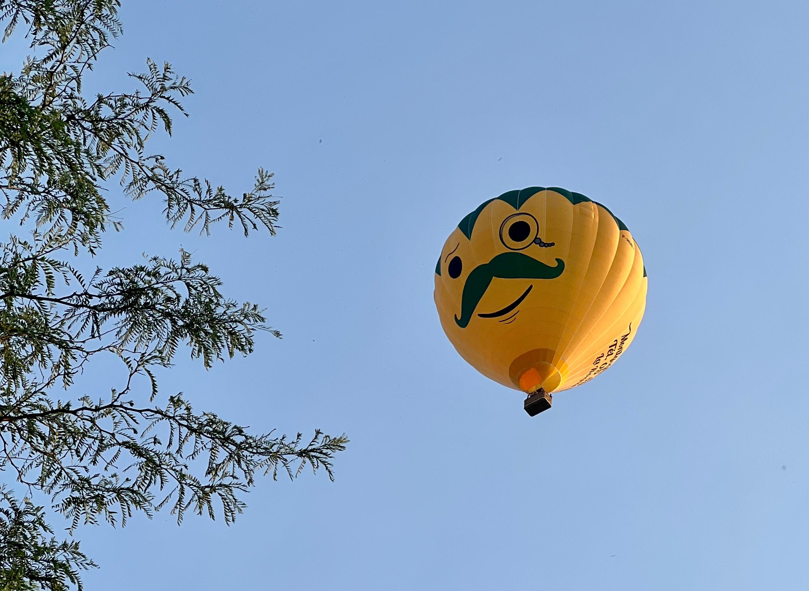 Flew over the garden