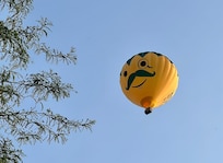 Flew over the garden
