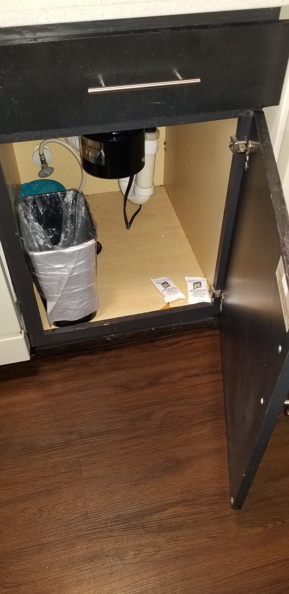 Photo of bottom of sink, roaches are in back corner.  See close up on other picture.