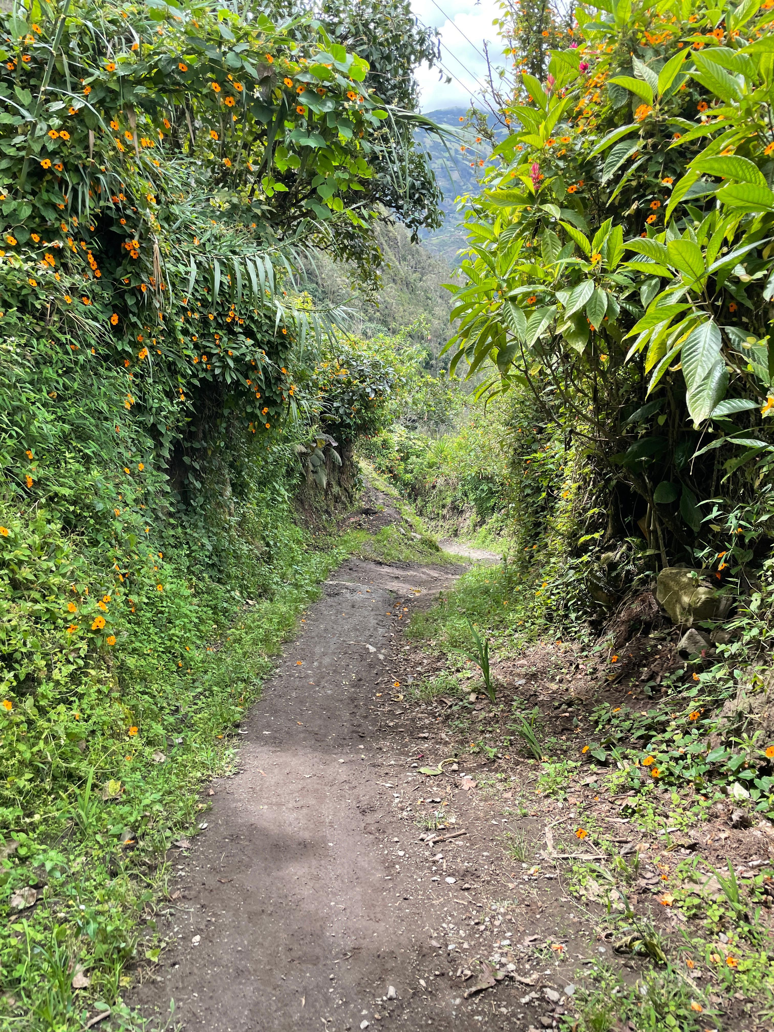 Trail leading to Hotel