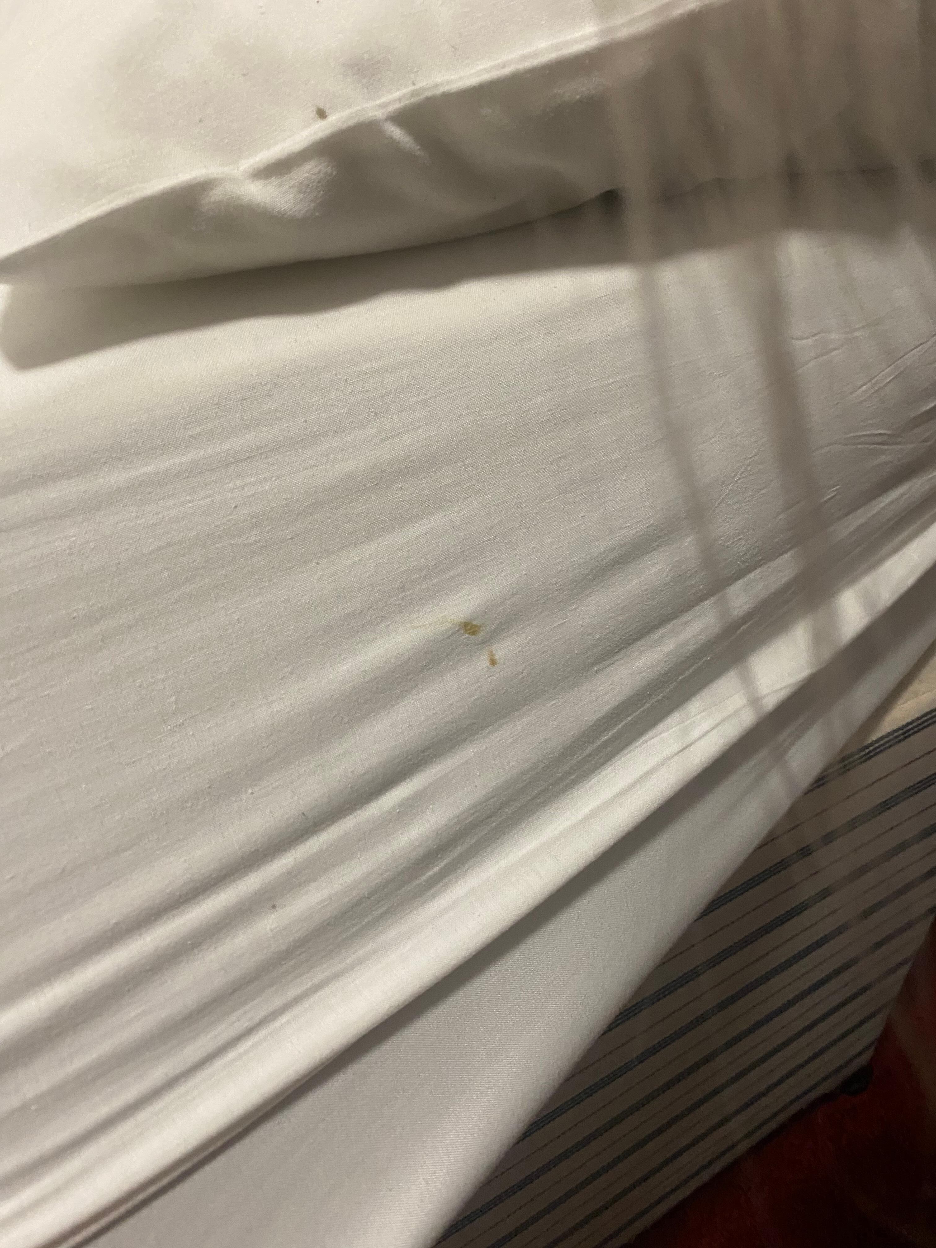 “CLEAN SHEETS” - look at the buggies that someone left 