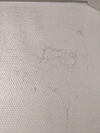 Hair on the wall