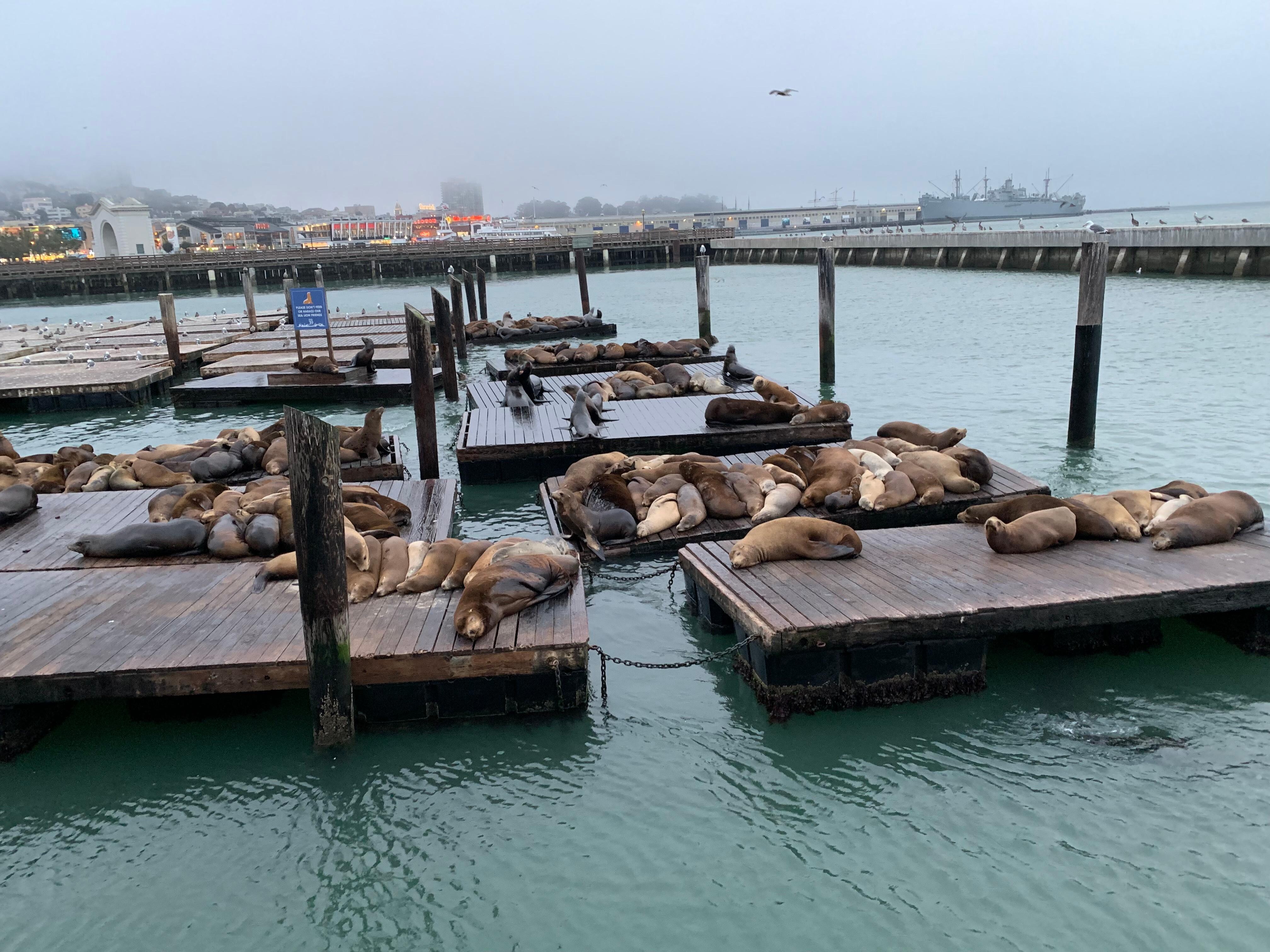 Pier 39