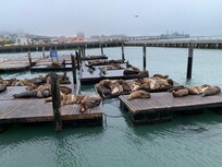 Pier 39