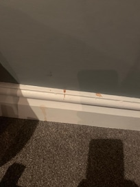 Slops from drink making down walls and skirting