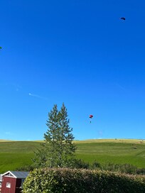 Parasailers landed on the hill next to the guesthouses!