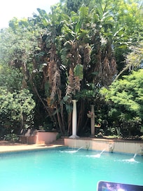 The bigger pool.