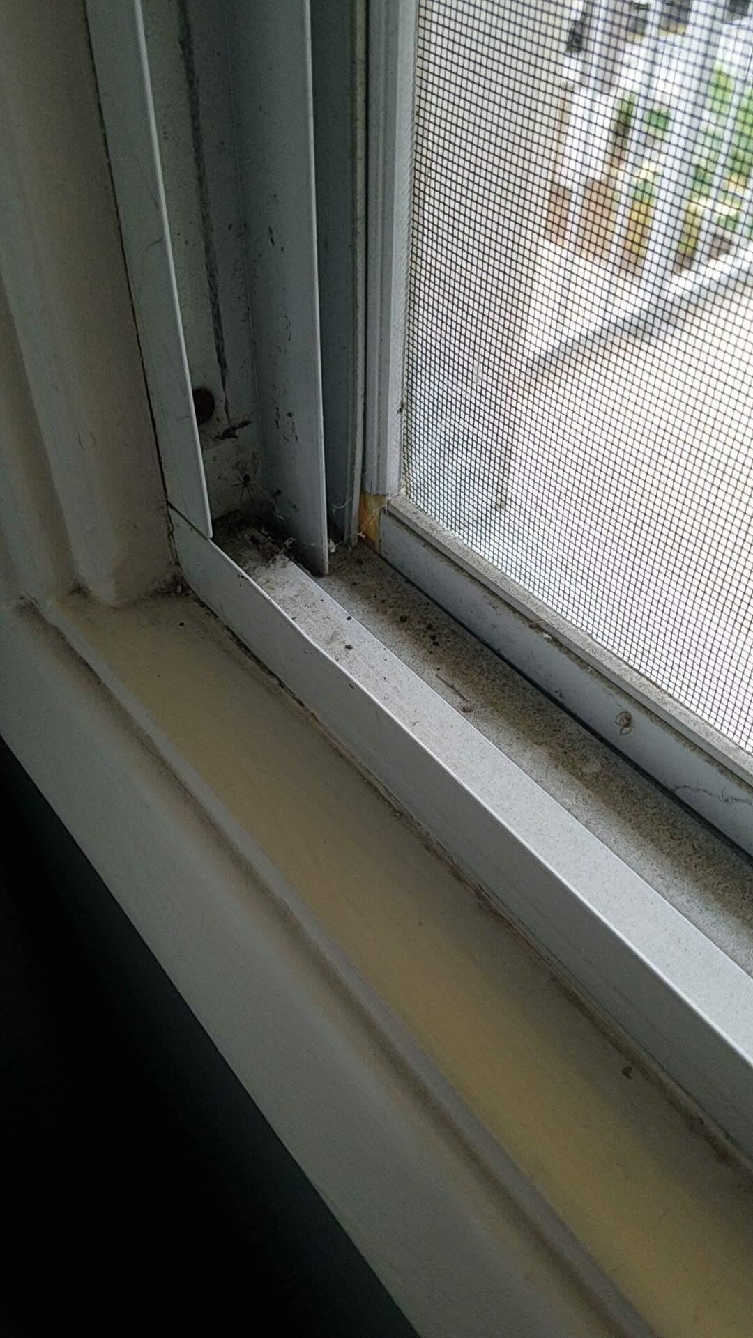 Filthy windows with spiders.