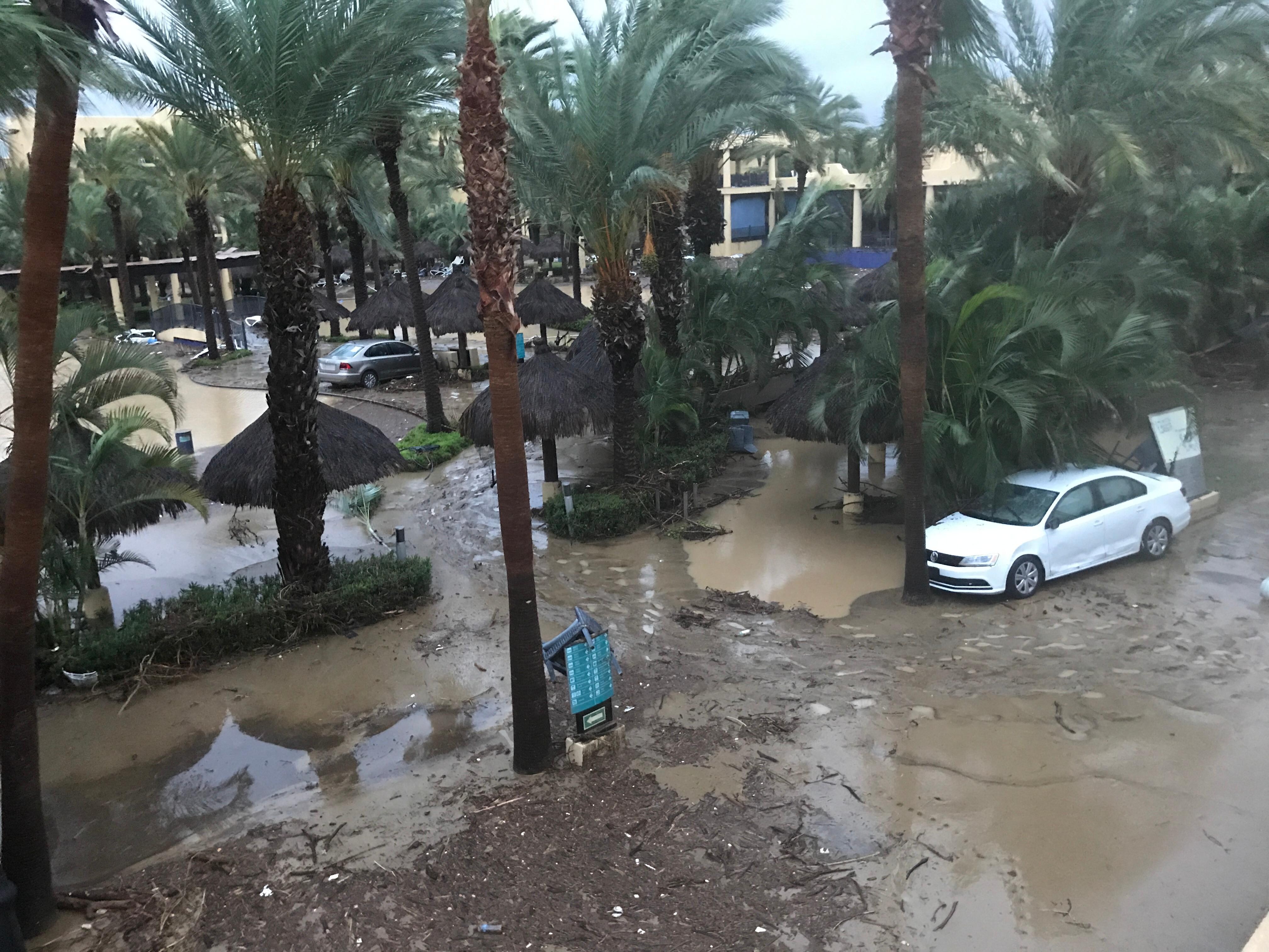 Cars floted to the middle of the pools