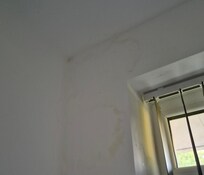 Wall & ceiling damp