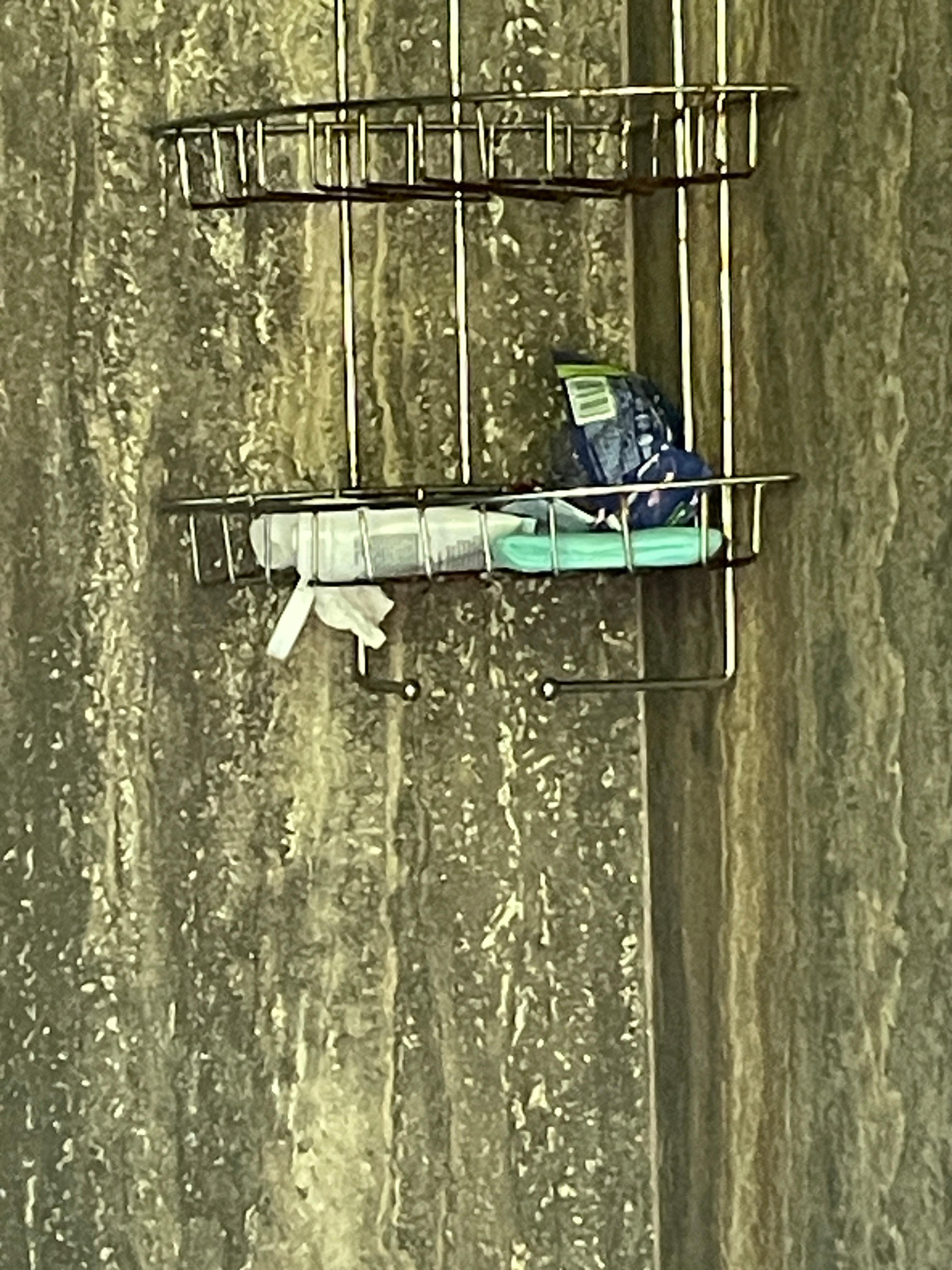 Trash left in shower - there all three days I was there. 