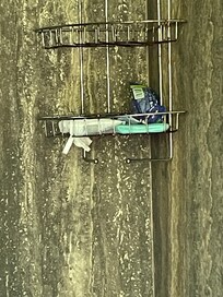 Trash left in shower - there all three days I was there.