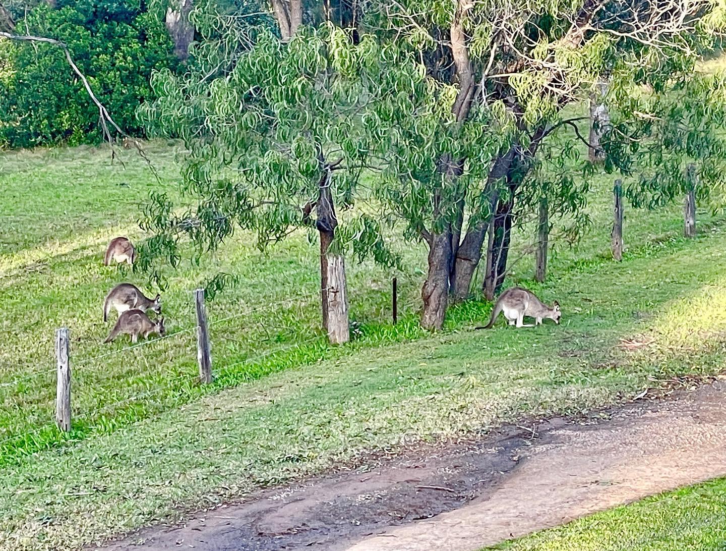 View from the window!