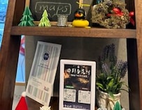 室內景,聖誕氛圍 可愛