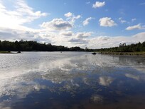 View if the river on site ant low tide