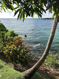 View from restaurant