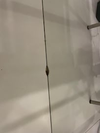 trou dans la salle d'eau