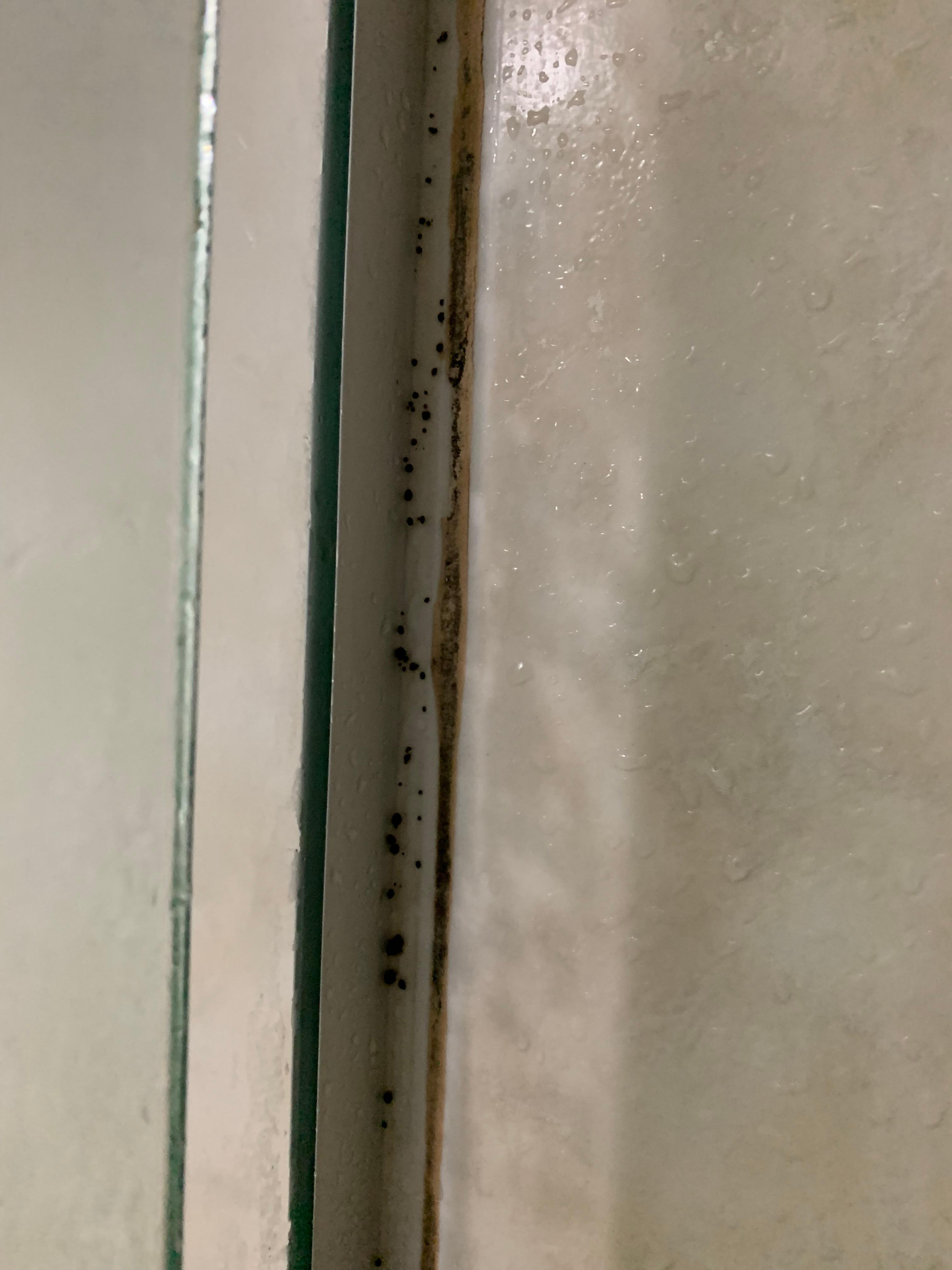 Mold in washroom